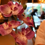 Dinner Service: A Walkthrough of One Night on the Floor