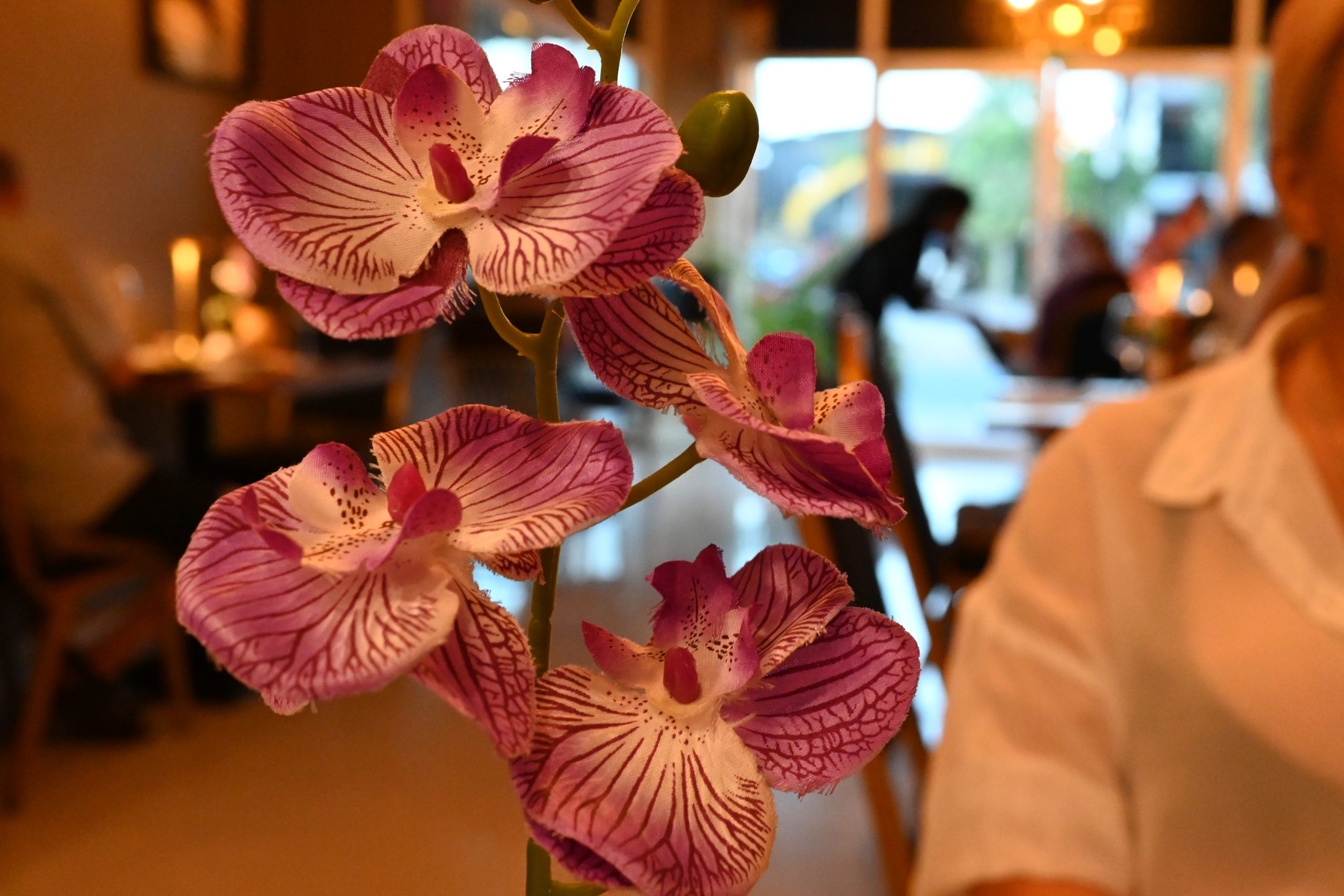 Orchids on a restaurant table with a softly lit dining room and guests in the background during dinner service